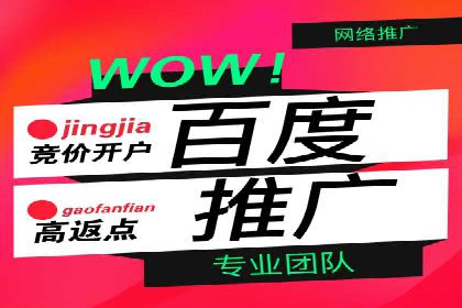 抖音信息流广告在电商行业的应用案例